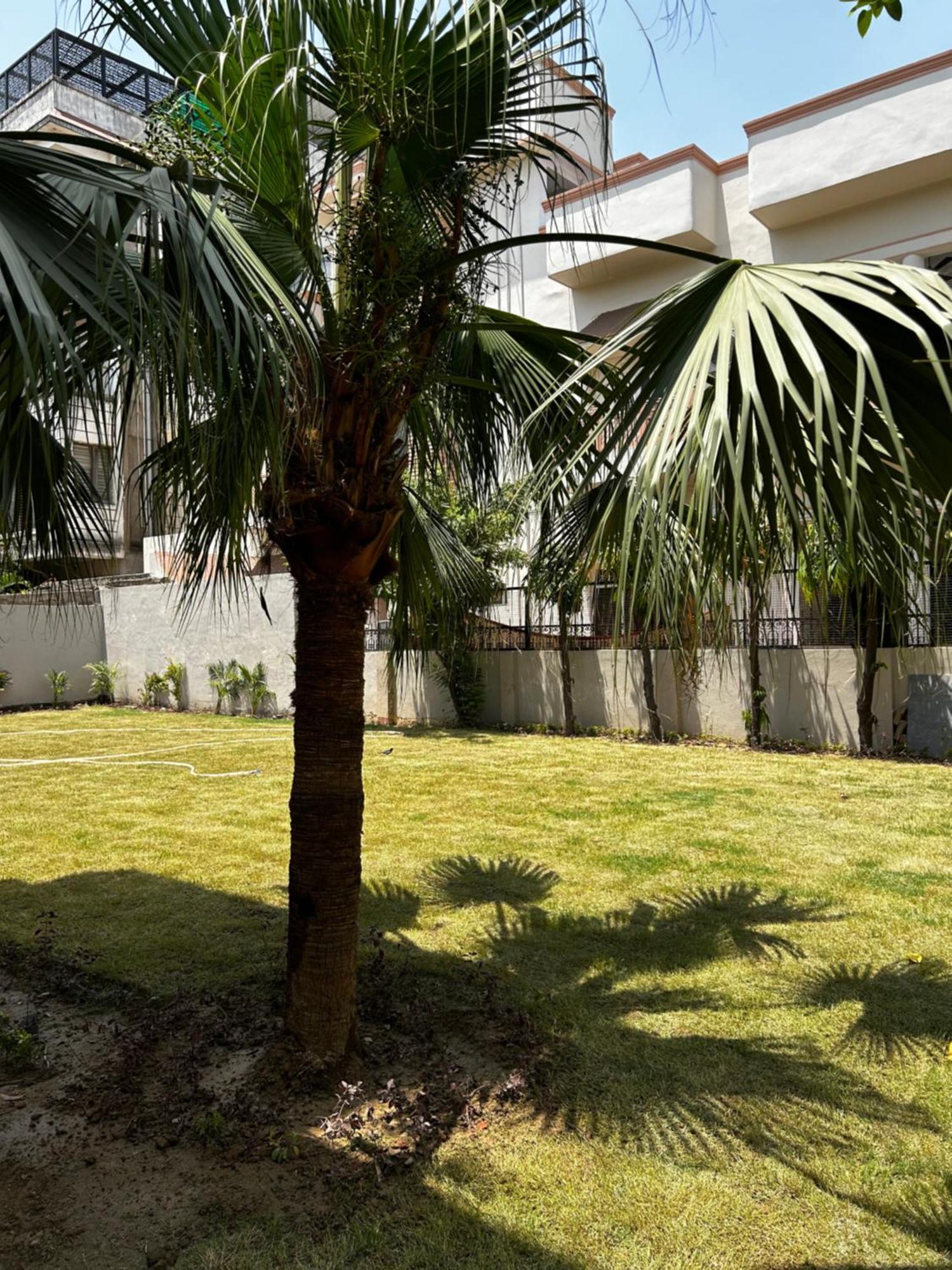 Ashirvad Homestay Βαρανάσι Εξωτερικό φωτογραφία